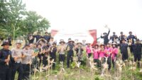 67a0712b1e928-panen-raya-jagung-di-sragen_1265_711