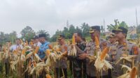 IMG-20250514-WA0025